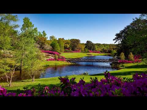 Choir Hymn - More than Family, Choir Music for Relax, Sleep Music, Calming Music