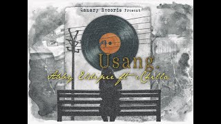Download lagu Usang - Abby Eldipie ft  cChilla ( Lyric) mp3