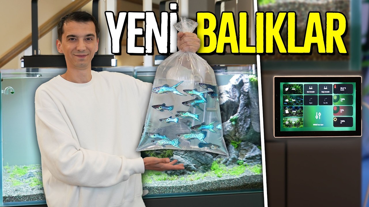 Artık Akvaryum Ultra Teknolojik, Yeni Balıklar, Kontrol Ekranı!