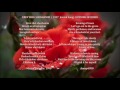 【Jewish folk song 】Martin Simpson ~ Erev Shel Shoshanim ~Evening of Roses