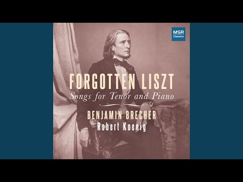 Wenn die letzten Sterne bleichen