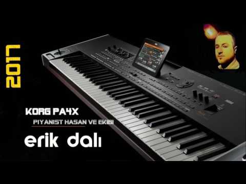 Piyanist Hasan - ERİK DALI 2017