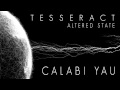 TESSERACT - Calabi Yau (Album Track)