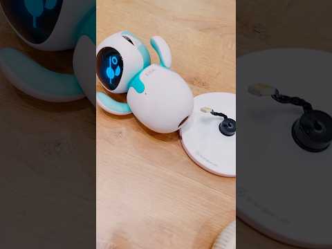 OMG ... eilik blue 😢 #eilikrobot #eilik #robot