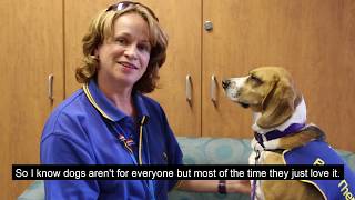 Furry, friendly and fabulous – Pet Therapy volunteers making a difference at Peninsula Health