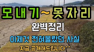 #모내기시기하는방법 #못자리방법 #쌀벼농사