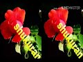 New Oromo Music Sirbaa Jalalaa