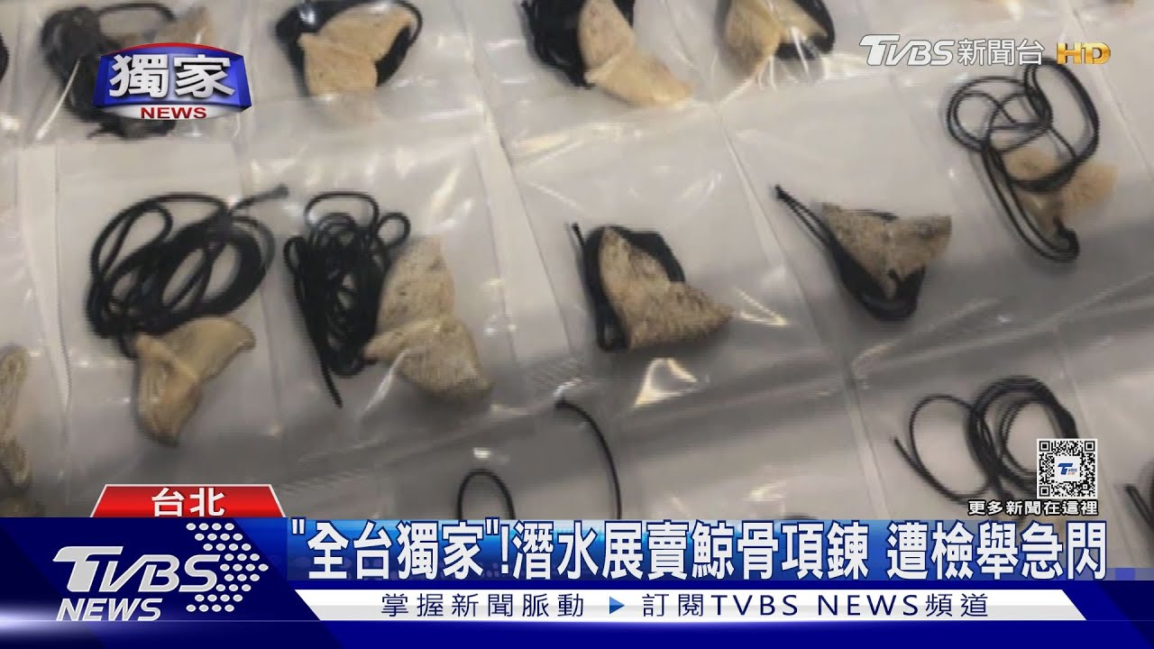 「全台獨家」！潛水展賣鯨骨項鍊　遭檢舉急閃
