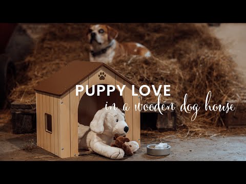 Cute byASTRUP toy Dog takes care of her pups in her wooden Dog house