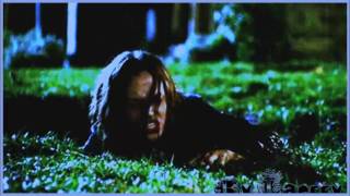 Faith/Tru/Echo (Pretty life)