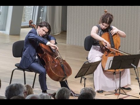 Fantaisie pour la "Classe d´Excellence", Gautier Capuçon, FLV - Javier Martínez Campos (2.015)