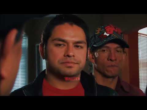 Alineando Cabrones Película Completa