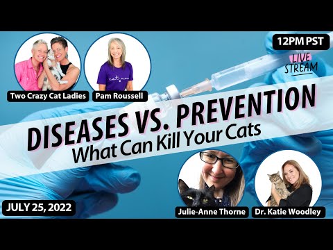 CAT Diseases vs. Prevention - What To Know | Roundtable Discussion | Two Crazy Cat Ladies