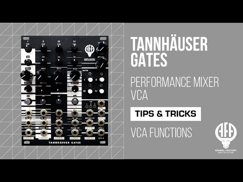 Tannhäuser Gates: VCA Functions | Eurorack | Animal Factory Amplification