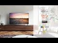 Panasonic TV-65W90AEG