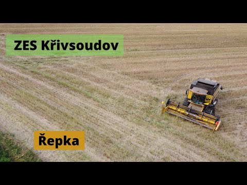 Mlácení Řepky I ZES Křivsoudov I