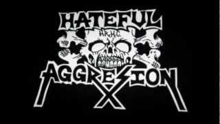 Hateful Aggresion-the Only Survivor
