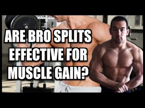 "Bro Split" Routines: Are They Effective For Building Muscle?