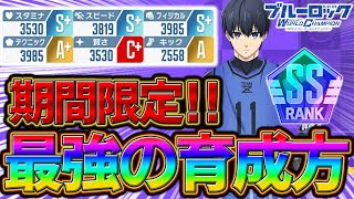 【ブルーロックPWC】期間限定！超盛れる最強の育成編成！見ないと損！