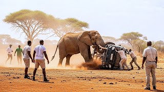10 Viajes de Safari Africanos que Salieron Terriblemente Mal