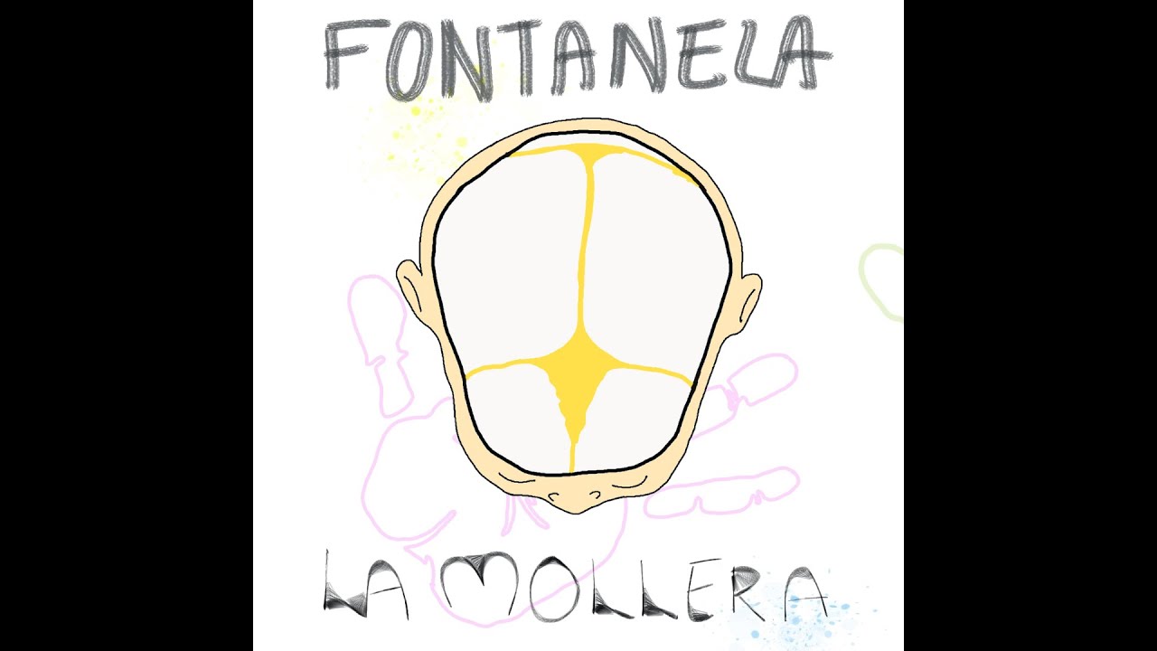 Graciela Chávez Cuevas-11