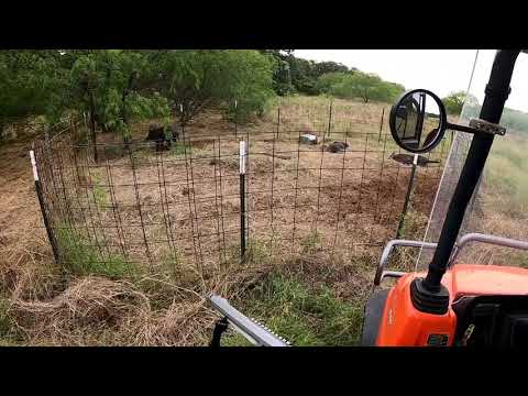 Hogs vs 500 Smith Wesson