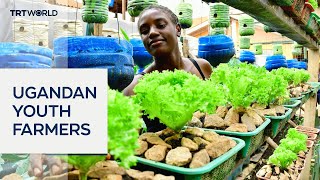 Urban farming offers new hope for Uganda’s youth