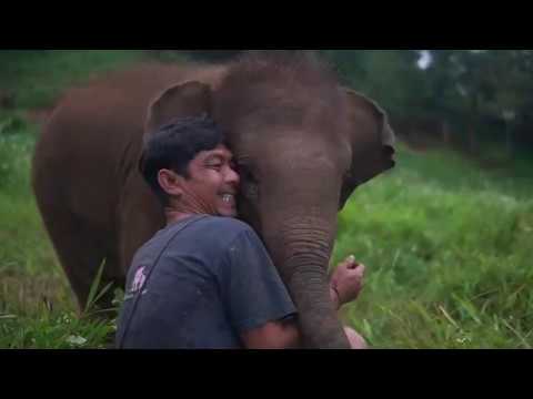 download lagu mp3 mp4 Yes We Are Different, download lagu Yes We Are Different gratis, unduh video klip Yes We Are Different