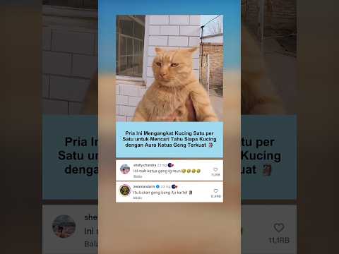 Muka-muka Bandit Semua 😹