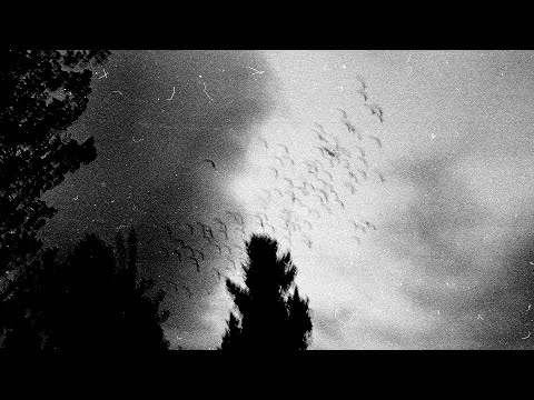 soulvanish - she wanna know (prod. tainiykick)