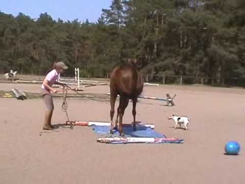 Marta & Dżuliano l3 online