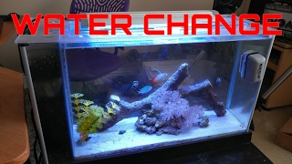 How to setup a Fluval SPEC 5 saltwater reef tank WATER CHANGE TIME
