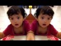 Okelah Kalo Begitu Warteg Boyz Fan Video