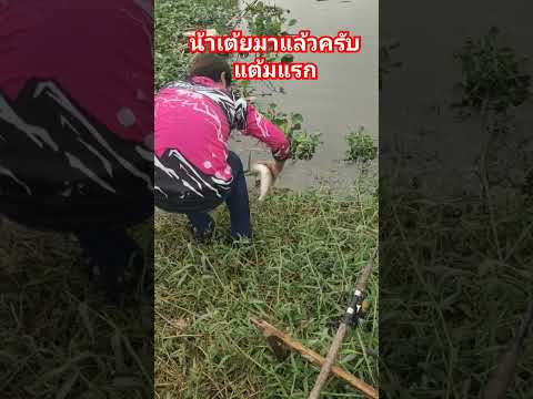 แม็กไทยแลนด์ฟิชชิ่ง ออนทัวร์