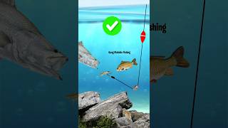 Download lagu Cara Merakit Rangkaian Pancing dan Memasang Umpan Sendiri #memancing #simpulpancing #tutorial mp3