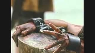 1 This Baby Steven Curtis Chapman Christmas Video