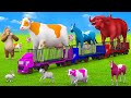 Color Cows Crocodiles And Horse Farm Adventures Farm Animals Comedy Video Collection 3D Cartoons