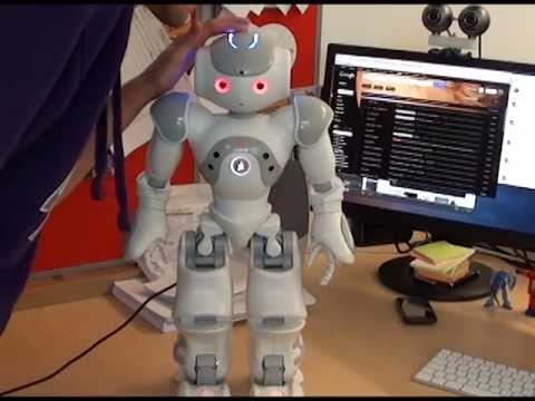 Nao Robot as a ChatBot
