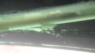 Lady Sadie II 03-18-13