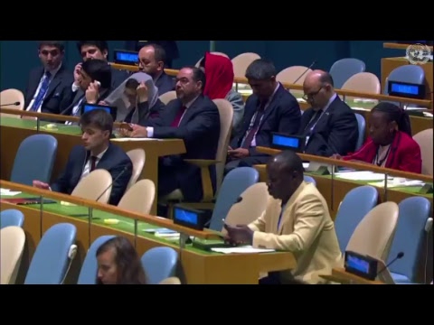 Intervenția națională a Președintelui României, Klaus Iohannis, susținută în cadrul dezbaterilor gen