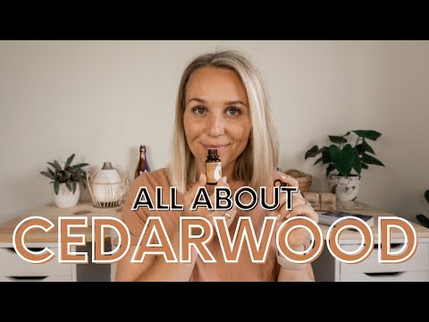 Cedarwood Essential Oil Uses and Benefits - Cedarwood...