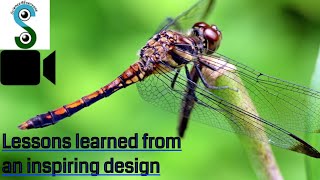Insect wings tolerate damage better than most engineered composites