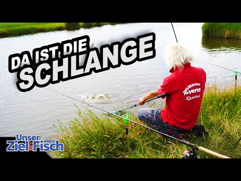 SUPERFLACH auf AAL am TAG - JÖRG OVENS mit POSE & TOP KÖDER - Unser Ziel ist Fisch - Die Angelschule
