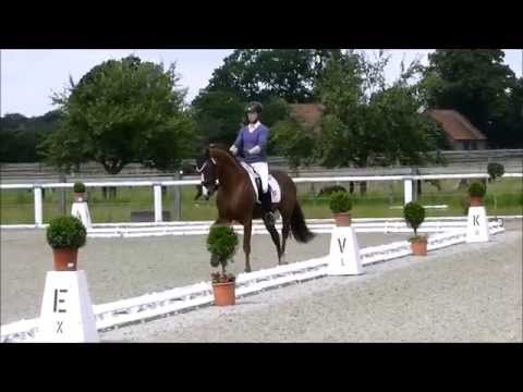 SIR HEINRICH OLD 2. WM Qualifikation 2014