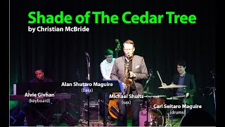 Shade of The Cedar Trees (Chiristian McBride) by Michael Shults Quartet