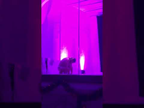 download lagu mp3 mp4 Simona Yunusova, download lagu Simona Yunusova gratis, unduh video klip Simona Yunusova