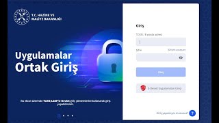 MYS V2  Hizmet Alımı Bakım Onarım 2024