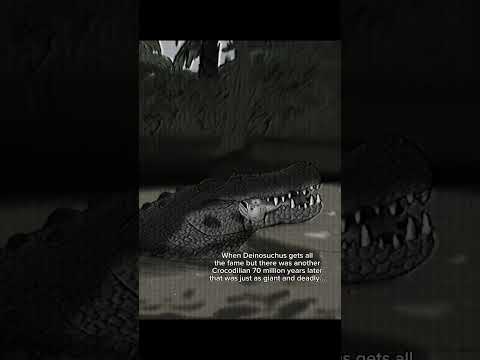 Was this giant Croc deadlier than Deinosuchus? #purussaurus #deinosuchus #crocodile #prehistoric