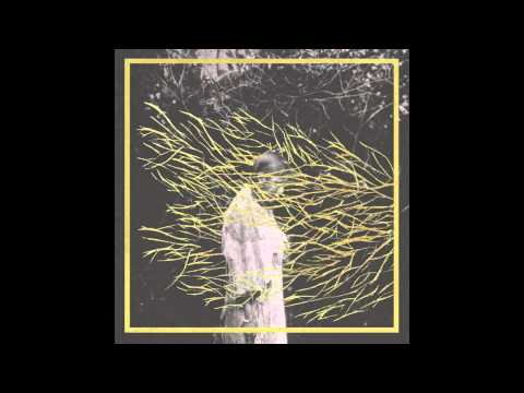 Forest Swords - Anneka's Battle