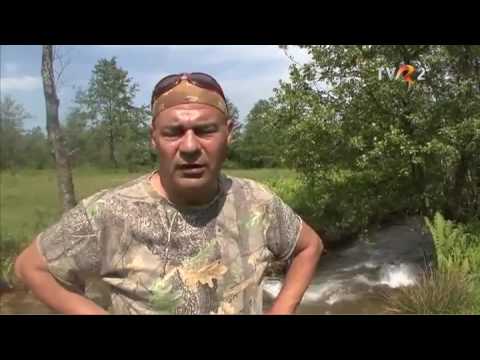 Natură şi aventură: Semnal de alarmă!  Vine urgia şi peste Râul Alb!